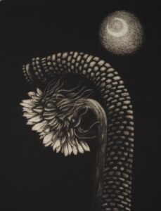 D. Cepmen, Flor de Noche, mecotinta